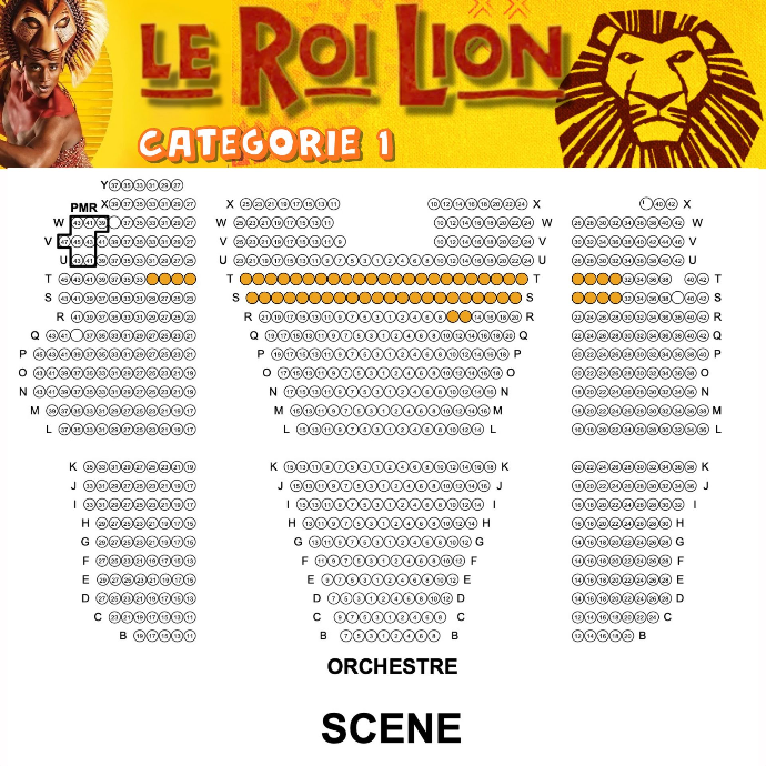 [LeRoiLion1] SHOWTRIP DOMEDIA Le Roi Lion "Catégorie 1" (Surclassement)