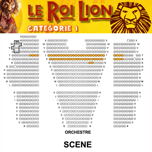 [LeRoiLion1] SHOWTRIP DOMEDIA Le Roi Lion "Catégorie 1" (Surclassement)